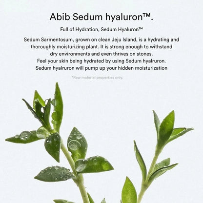 Abib Sedum Hyaluron Pad Hydrating Touch