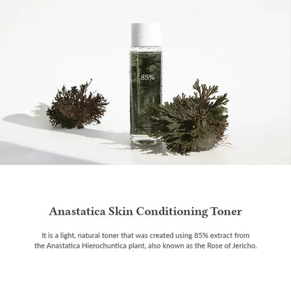 Dr. Althea Anastatica Skin Conditioning Toner