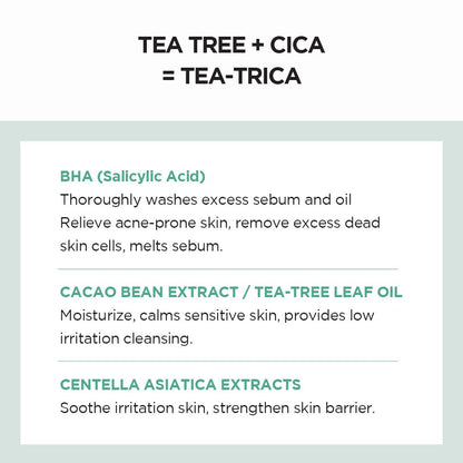 SKIN 1004 Madagascar Centella Tea-Trica BHA Foam