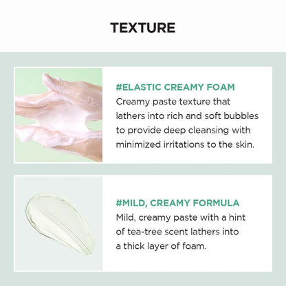 SKIN 1004 Madagascar Centella Tea-Trica BHA Foam